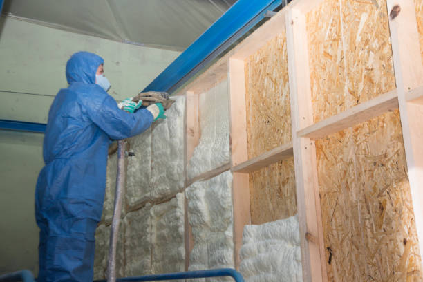 Best Home Insulation Services  in USA